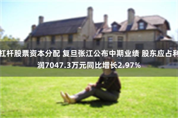 杠杆股票资本分配 复旦张江公布中期业绩 股东应占利润7047.3万元同比增长2.97%