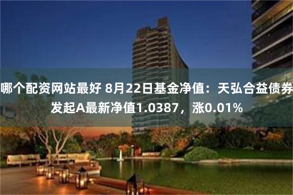 哪个配资网站最好 8月22日基金净值：天弘合益债券发起A最新净值1.0387，涨0.01%