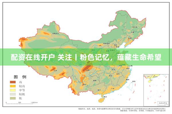 配资在线开户 关注丨粉色记忆，蕴藏生命希望