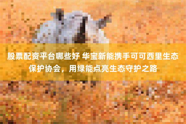 股票配资平台哪些好 华宝新能携手可可西里生态保护协会，用绿能点亮生态守护之路