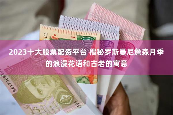 2023十大股票配资平台 揭秘罗斯曼尼詹森月季的浪漫花语和古老的寓意