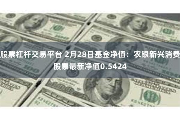 股票杠杆交易平台 2月28日基金净值：农银新兴消费股票最新净值0.5424