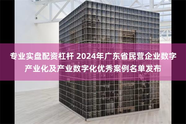 专业实盘配资杠杆 2024年广东省民营企业数字产业化及产业数字化优秀案例名单发布